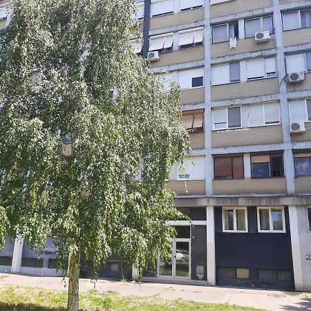 Blue Danube Apartman Belgrád Kültér fotó
