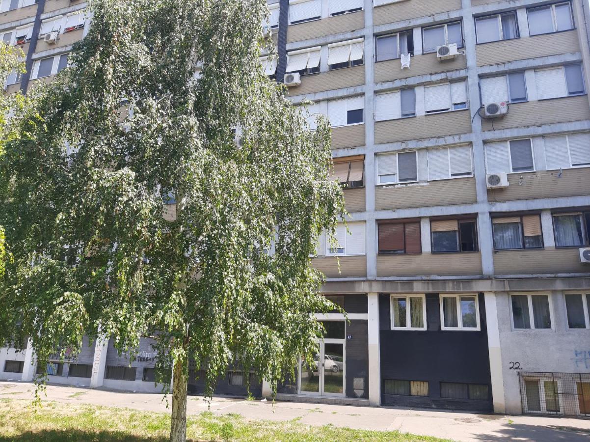 Blue Danube Apartman Belgrád Kültér fotó